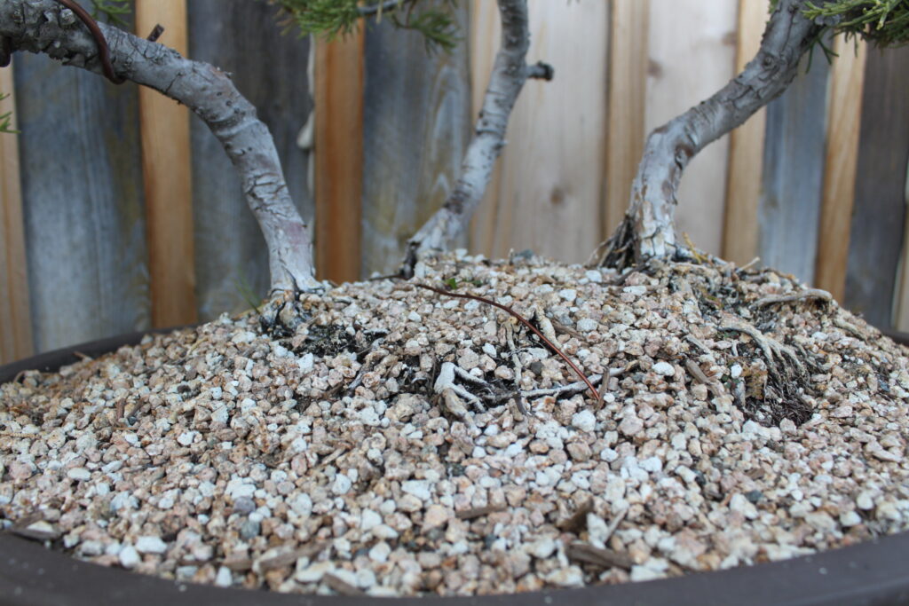 Bonsai Soil 